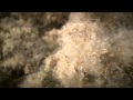 Ranker Video