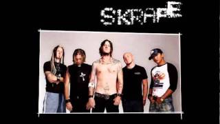 Watch Skrape My Life video