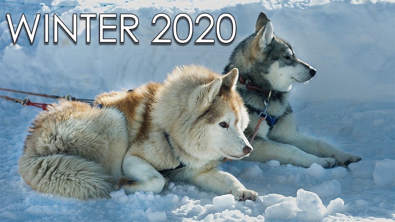 Sestriere & Pragelato Winter 2020 | Blackmagic BMPC 4K