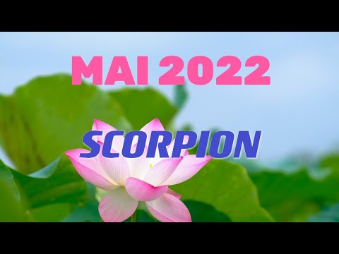 Toutes les vidéos
