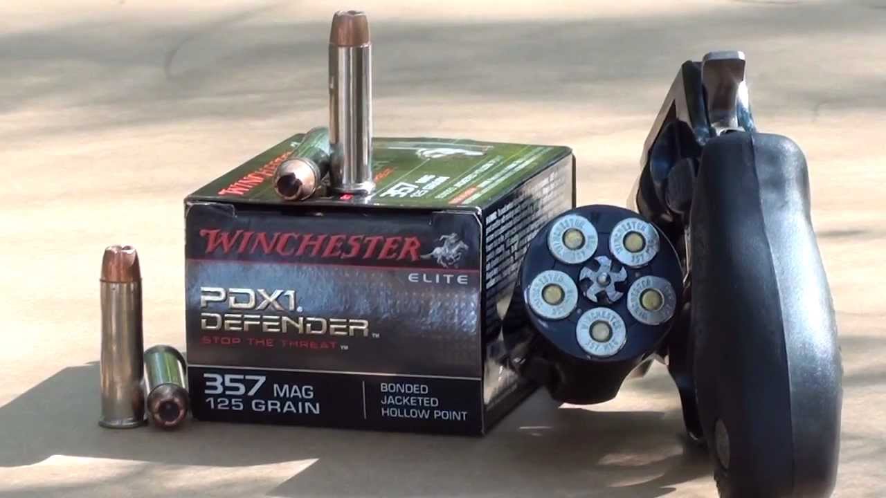 Winchester pdx1 .410 penetration