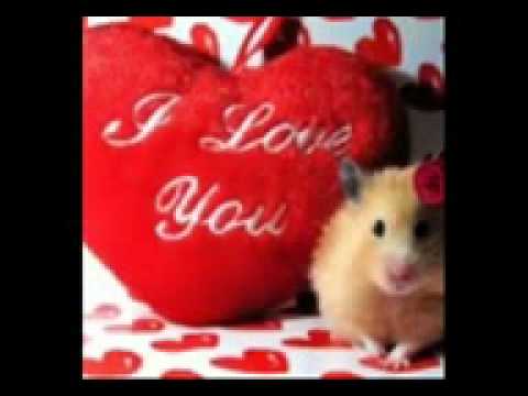 Arzoo ki rahon main song_mpeg4.mp4