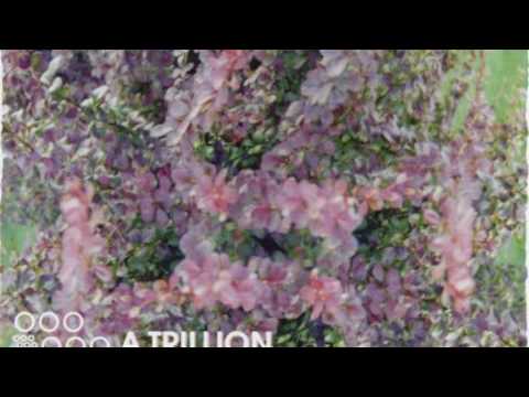 Nano Machines Are In Richard Feynmans Bloodstream Video