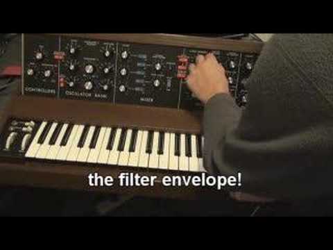 Minimoog compared to dsi Prophet 08