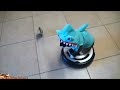 Cat In A Shark Suit Riding A Robot Vacuum Cleaner images Cat In A Shark Suit Riding A Robot Vacuum Cleaner