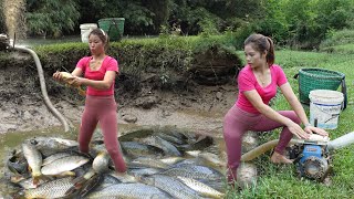 Fishing Videos: Fishing Exciting - Fishing Technique - Catch A Lot Of Fish | Sell Fish At Market