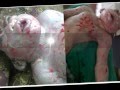 ANIMAL GAVE BIRTH TO HUMAN LIKE CREATURE