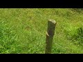 African River Wildlife 06-08-2018 07:21:48 - 08:21:47