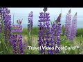 Grand Manan, New Brunswick, Cananda: Grand Manan Travel Video Postcard