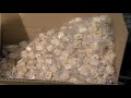 Nougat
