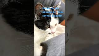 Keşke Bir Okumuş Bir Sevmiş Olsaydık