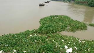 Save Ganga Save humankind