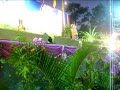 แผ่นดินของเรา นุ้ย สุทธิดา