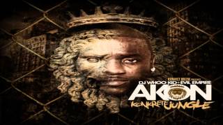 Video Used To Know Akon