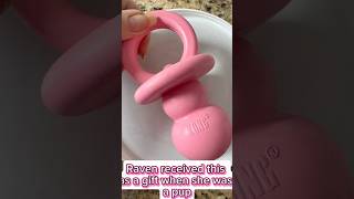 Kong Puppy Binkie Pacifier