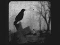 Homage To The Prophecy's Cry Video preview