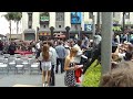 The american idol top 13 contestants sign autographs for fans at simon fuller's star ceremony.mp4