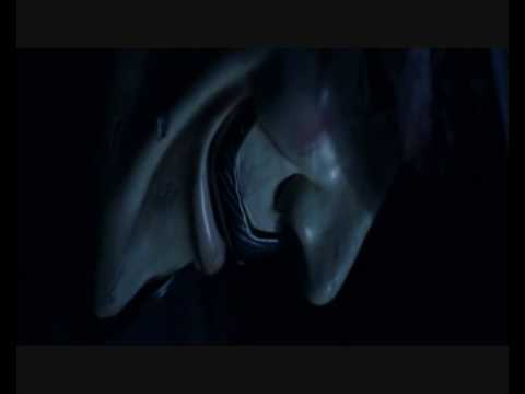 the moon in a robe of fire a video for this o m song from the album