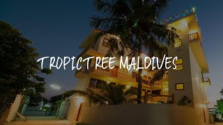 Tropic Tree Maldives Review - Gulhi , Maldives