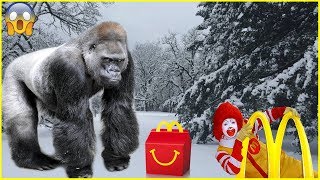 Gorilla VS #JaiBistaShow | Kids Play in the Snow | Kids Fun Pretend Play Toy McDonald’s Kitchen Set