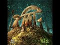 infected mashroom