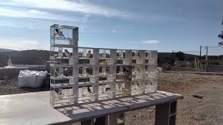 1Ro En Equipo En Hospitalet,,, Canohes, Francia,,,Sant Joan Despi,Oro En Duos Mejor Criador Vilafant