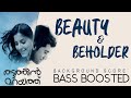 Thattathin Marayathu BGM Bass Boosted | Beauty & Beholder | Shan Rahman | Nivin | CHI BASS RECORDS