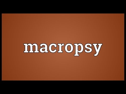 Header of macropsy