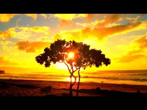 Gates Of The Country Video
