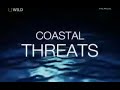 Видео NG: Один океан: Прибрежные угрозы / фильм 4