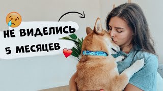 Не Виделись 5 Месяцев 😱 Декор Квартиры И Отдых В Черногории