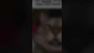 Padahal Lagi Tidur