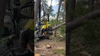 How To Knock Down A Tree With Harvester 1270G #Johndeere #Machine #Love #Viral #Harvester #Tree #Top
