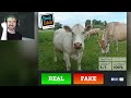 CAN YOU GET IT RIGHT? Real Or Fake