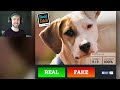 CAN YOU GET IT RIGHT? Real Or Fake