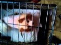 Mi tia cuando vino para casa esta loca y me cojio yo en la cama viendome por Oovoo