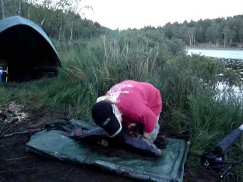 common carp fishing. Carp Fishing Sweden - Härlanda