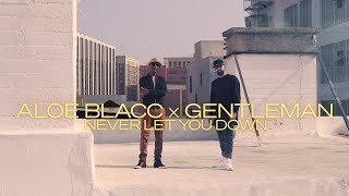 Aloe Blacc, Gentleman - Never Let You Down