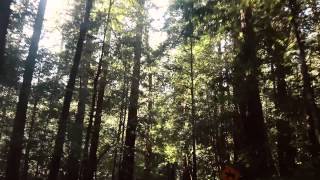 Roo Panes - Deeper Than Shallow (Official Audio)