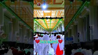 Safa Marwa Beautiful 4K Status Video Sajid Raza