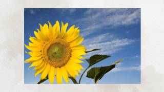The Lord 39 S Prayer Instrumental Piano Christian Music The Lord 39 S Prayer Instrumental Piano Christian Music