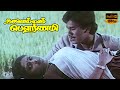 Neethana Nesanthana Song || Tamil Movie Song || Nalellam Pournami Movie Song || HD Song