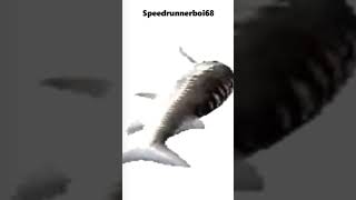 Shabadaba Gooba Like A Meebo, But Its Spinning Fish