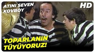 Atını Seven Kovboy - Daltonlar Define Haritasını Çaldı Sadri Alışık Eski Türk Komedi Filmi