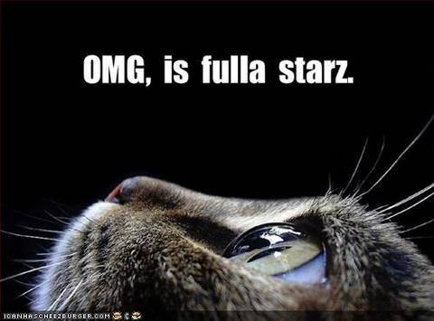 Clay Shirky: Are Lolcats a Sign of Human Progress?