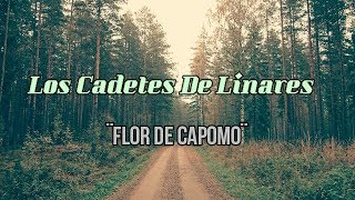 Watch Los Cadetes De Linares Flor De Capomo video