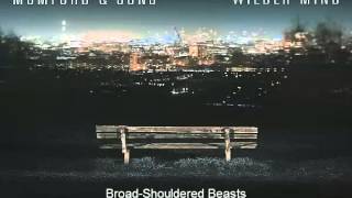 Watch Mumford  Sons Wilder Mind video