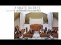 Archeo arte, foto architetti e fedeli ai tempi di Papa Francesco