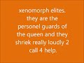 xenomorph types