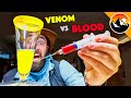 Human Blood vs. Snake Venom!
